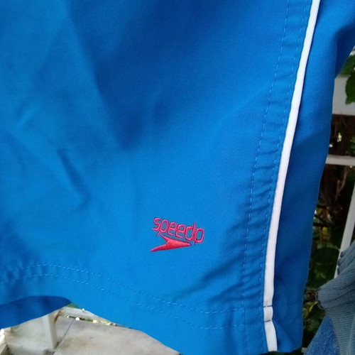Speedo men's swimwear used blue Large