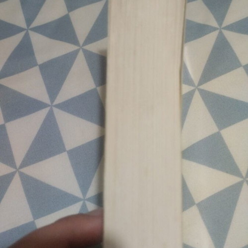 Book in English like new