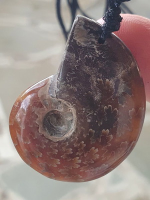 Ammonite pendant necklace, polished, adjustable string