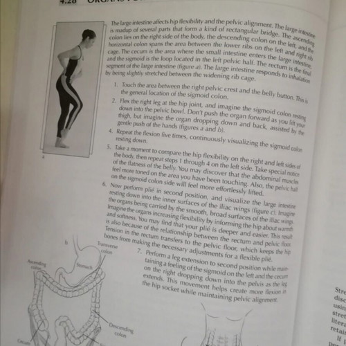 Conditioning for Dance book like new, English