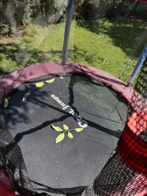 Children's trampoline used