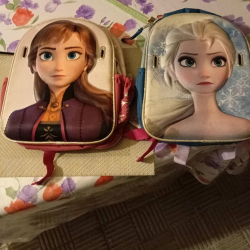 Frozen Believe in the Journey school bags used, set of 2 pieces
