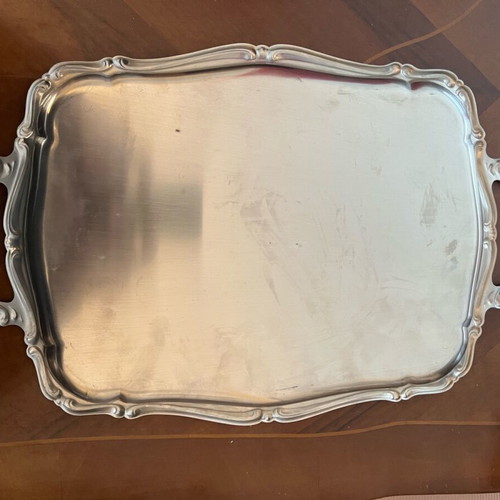 Stainless Steel Tray used