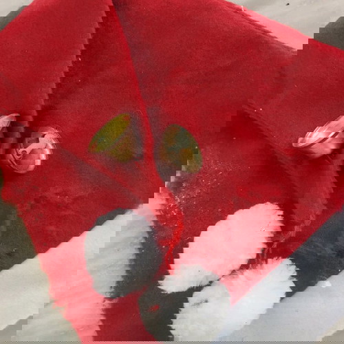 Σκουφάκι Αγίου Βασίλη με καμπανάκια μεταχειρισμένο, με φθορές