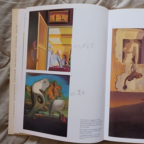 Dali book used with pencil notes