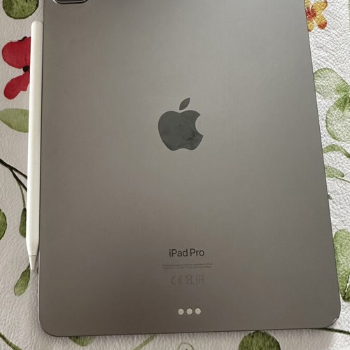 iPad Pro 11-inch (4th Generation) M2 chip Wi-Fi with Apple Pencil like new