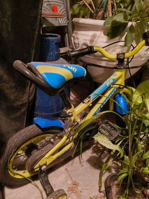 Children's bicycle with training wheels