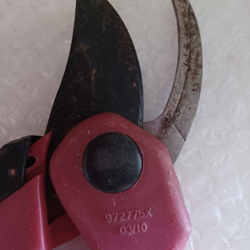 Pruning shears used CodeT3