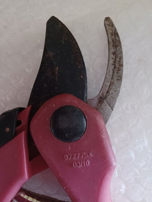 Pruning shears used CodeT3
