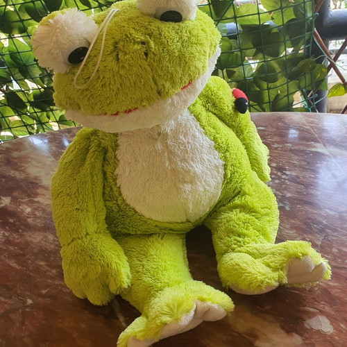 Plush Frog like new