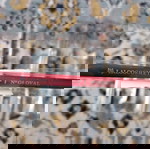  Πινέλα νυχιών σετ nail brush set