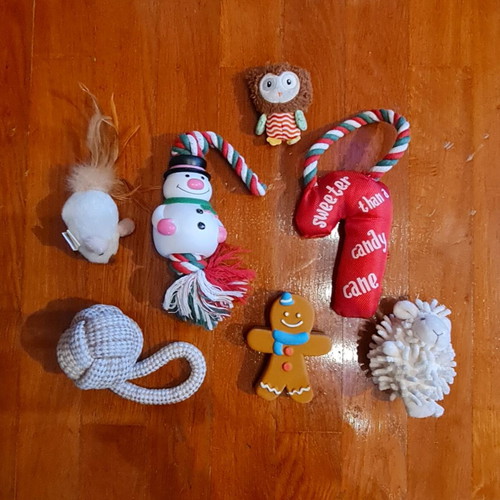 Pet toys new, pack of 40 pieces
