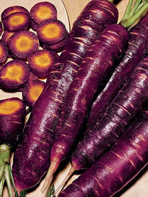 Purple Dragon carrot seeds, pack of 25, rare traditional variety