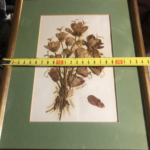 Frames with dried flowers bouquet like new, set of two