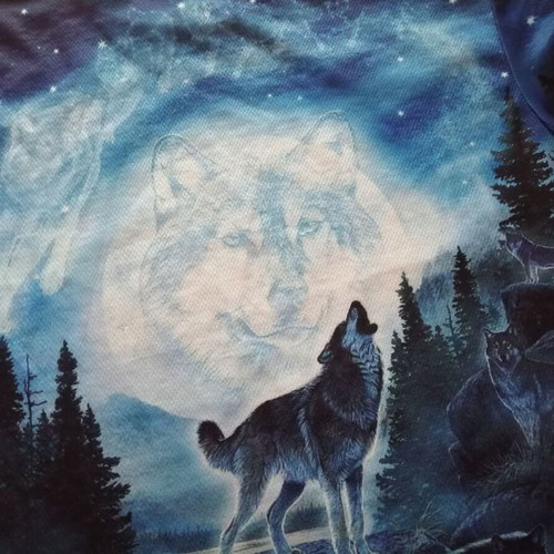 Men's T-shirt with howling wolves print, size M