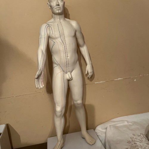 Acupuncture model like new, height 72 centimeters