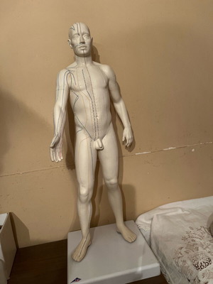 Acupuncture model like new, height 72 centimeters