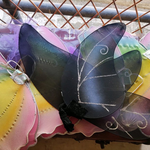 3€ each. There are five wing and skirt costumes.