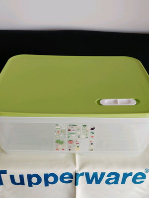 Large Smart Cooling Container 10 Liters new