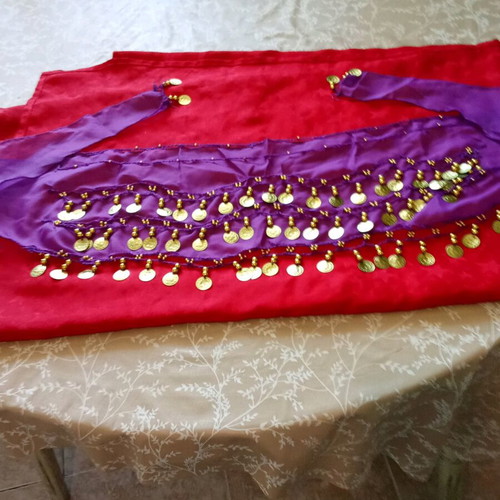 Dance skirt new, purple with ethnic and folklore motifs