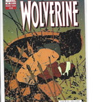 Wolverine #41 comic book