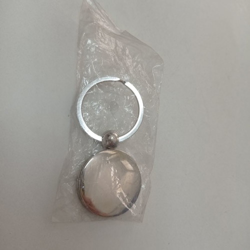 Rover metal silver keychain new