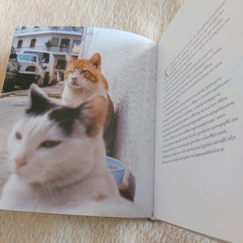 Book album The Seven Souls of Athens new