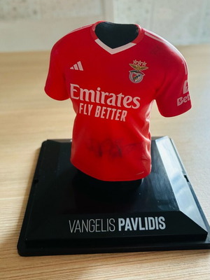 Benfica Home 2024/25 μεταχειρισμένο, Vangelis Pavlidis