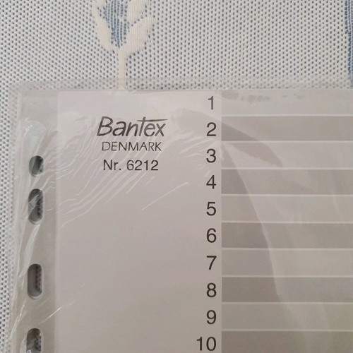 31-day dividers new, pack of 2