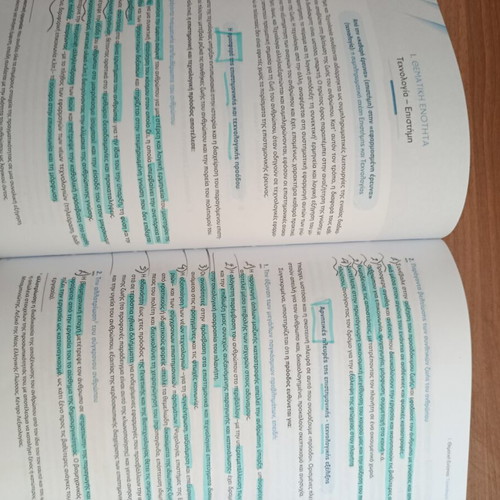 Nea Ellinika G Lykeiou Essay Guide with Solutions used