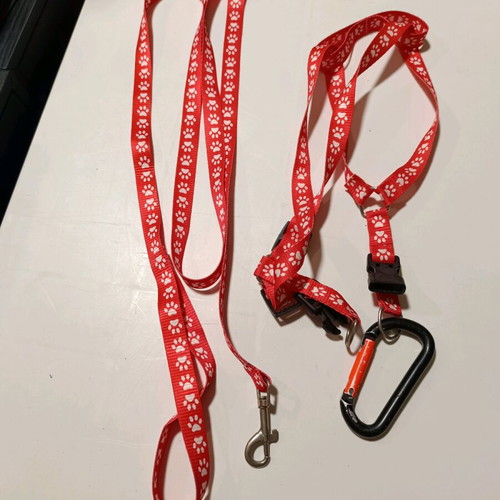 Leashes for small pet like new