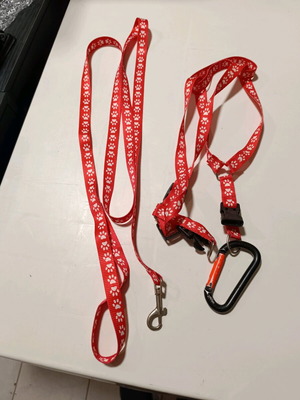 Leashes for small pet like new