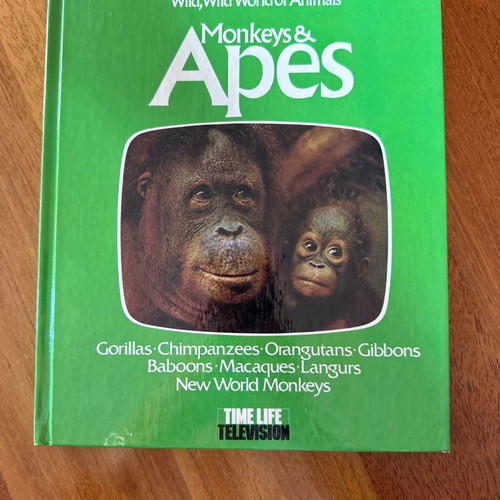 Monkeys and Apes children's book in English like new, hardcover