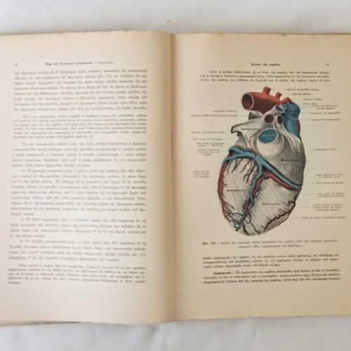 Anatomy of Man by G. Sklavounos used, rare 3rd volume, 1934-1938 edition