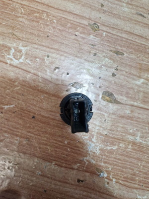 Socket for BMW E36 rear light used