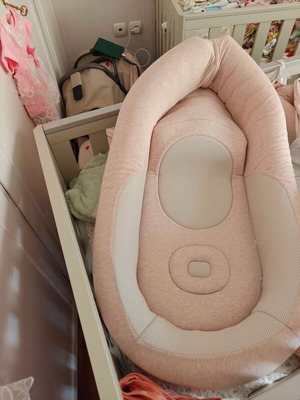 Inglesina Baby Nest pink like new