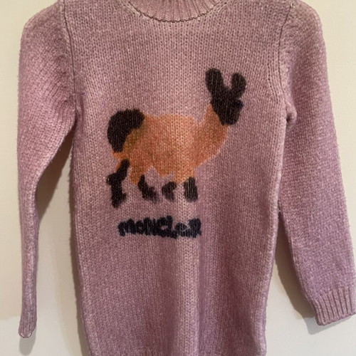Moncler pink wool sweater with llama design, size 10 years