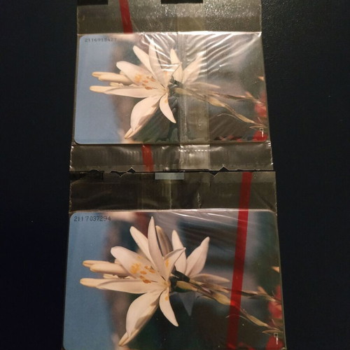 Phone cards spring 04/1996 new, set of 2 with different codes