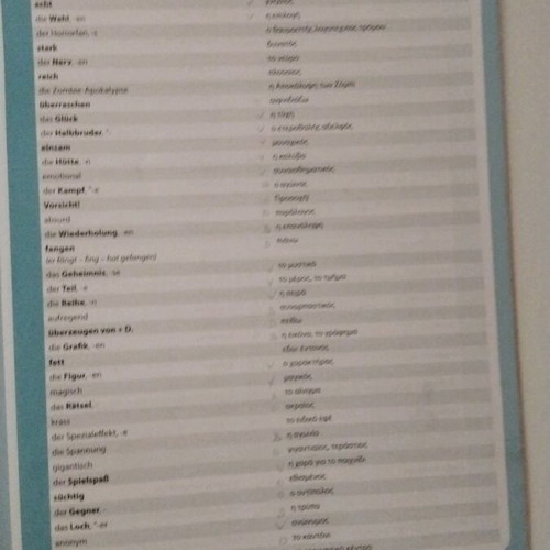 Maximal B1 German language learning book like new