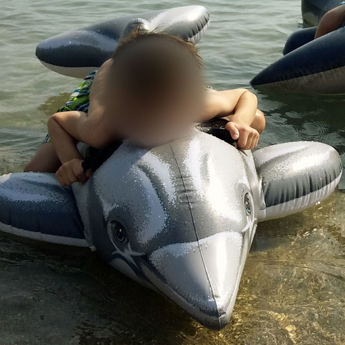 Inflatable dolphin used for sea and pool