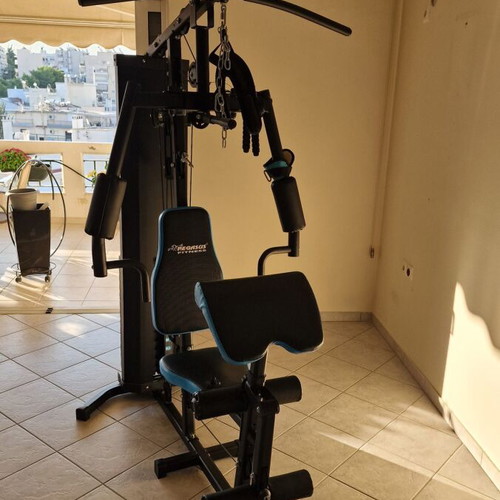Pegasus JX-DS913 fitness machine like new