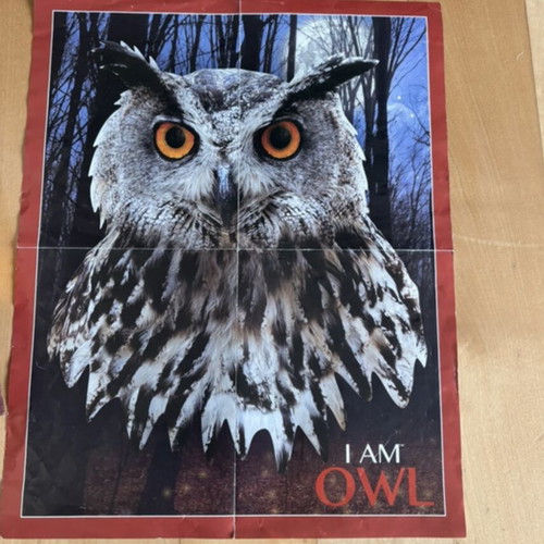 I am owl puzzle used, owl-shaped with 550 pieces