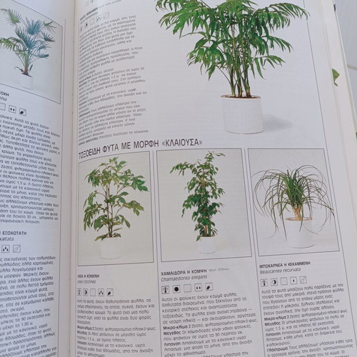 John Brookes Indoor Gardens book