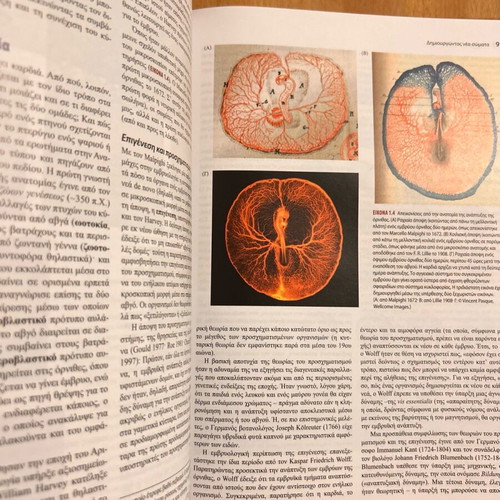 Developmental Biology Michael J. F. Barresi - Scott F. Gilbert like new