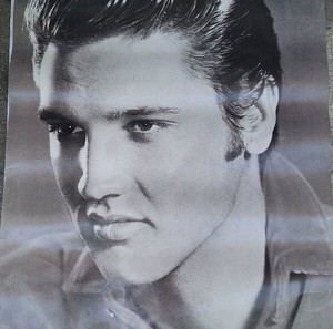 Vintage αφίσα Elvis Presley