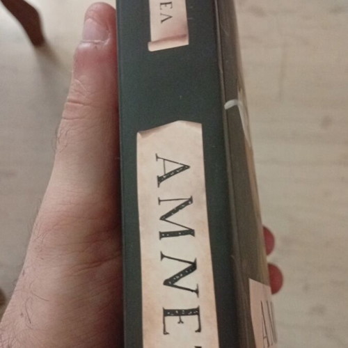Amnet historical novel by Maggy O'Farrell