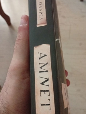 Amnet historical novel by Maggy O'Farrell