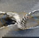 vintage ρολοι αυτόματα tell