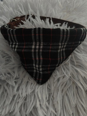 Dog accessory size S new, adjustable