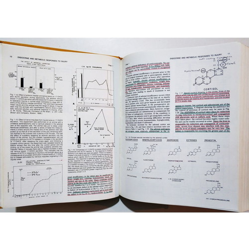Principles of Surgery two-volume set used, 4th edition, English